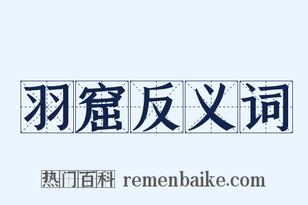 羽窟反义词是什么意思的图片